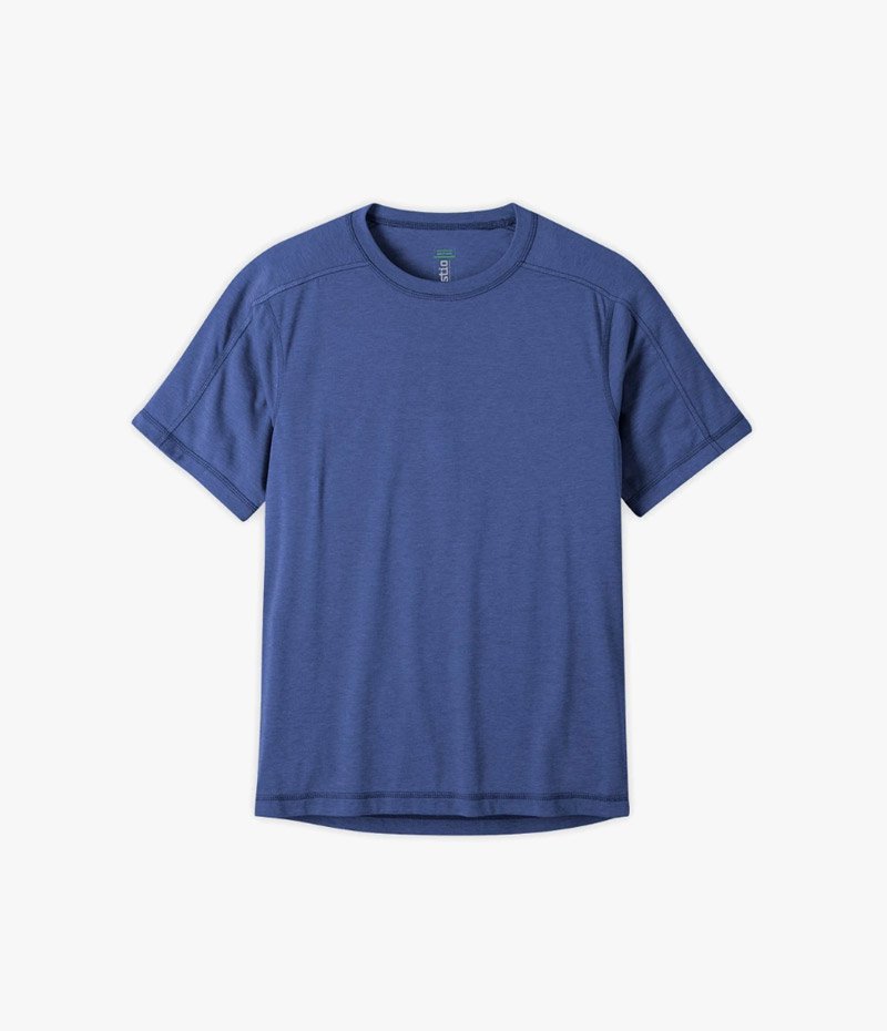 Dolorum fuga eget posuere commodo